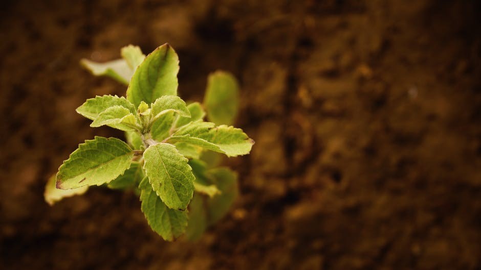 9th Annual Growing Resilient Communities Gathering